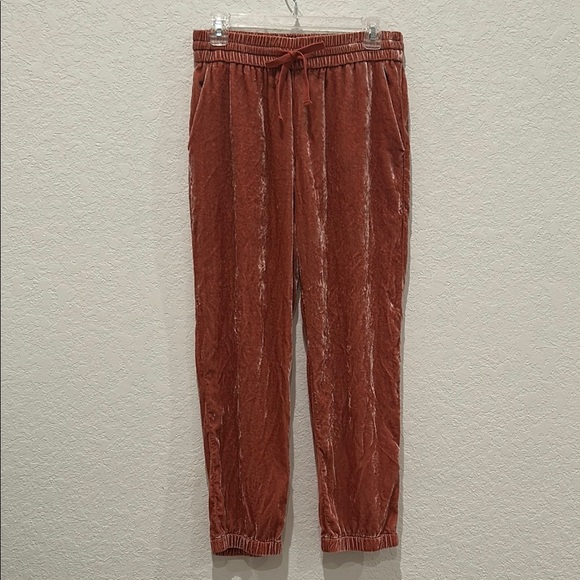 J. Crew Velvet Pants - Picture 1 of 9
